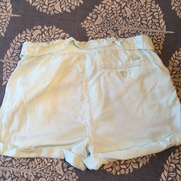 Wilfred Mint Green High Waisted Shorts - Picture 3 of 4